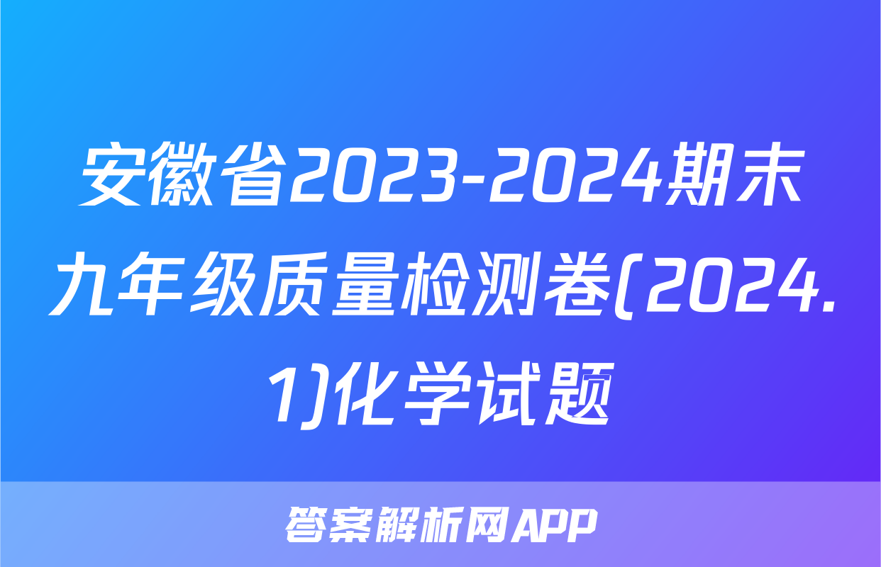 安徽省2023-2024期末九年级质量检测卷(2024.1)化学试题