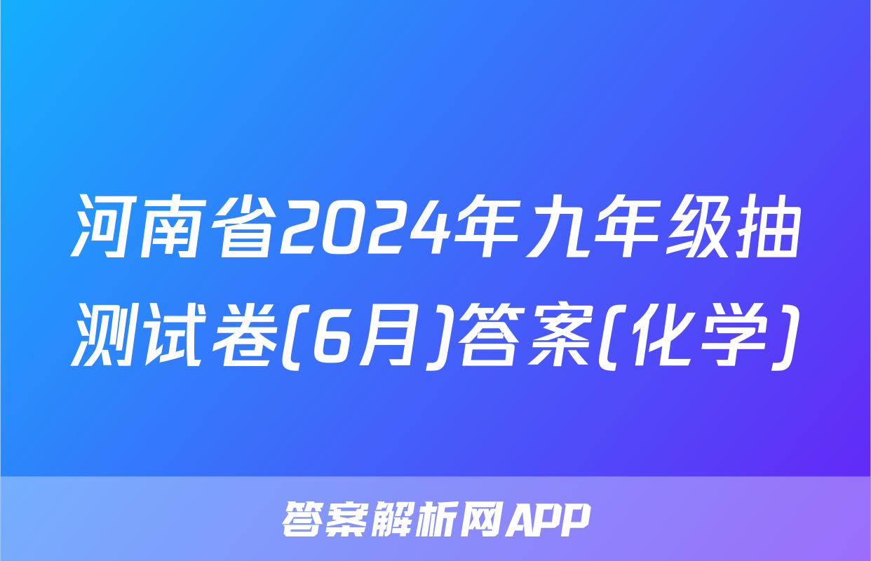 河南省2024年九年级抽测试卷(6月)答案(化学)