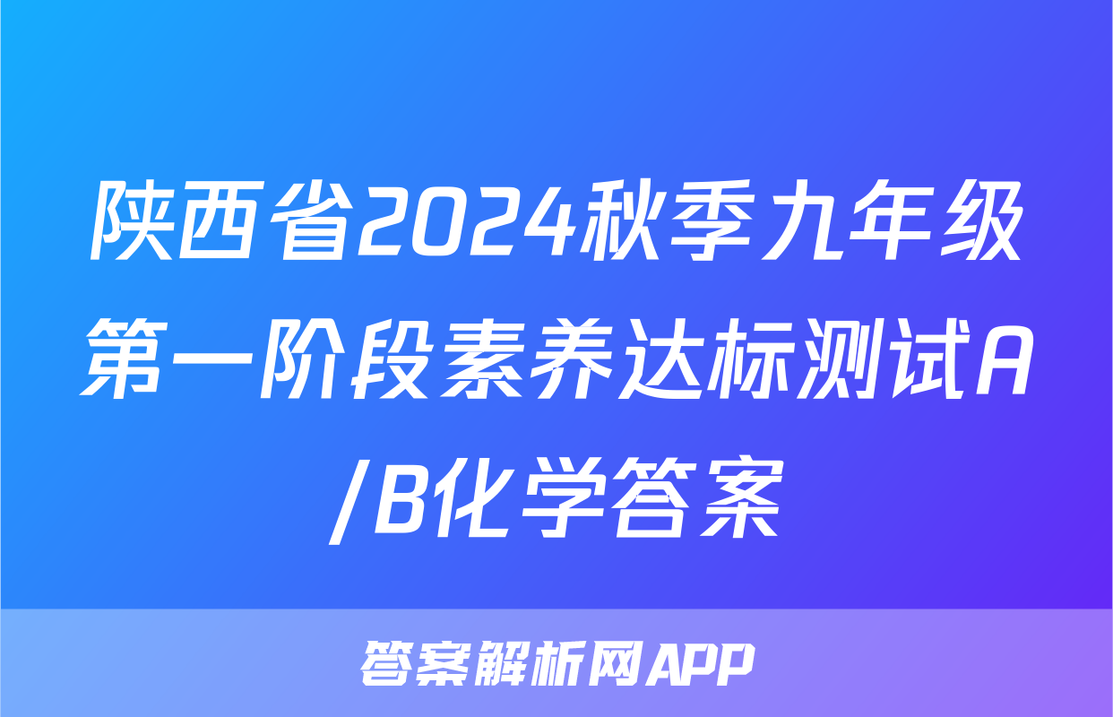 陕西省2024秋季九年级第一阶段素养达标测试A/B化学答案