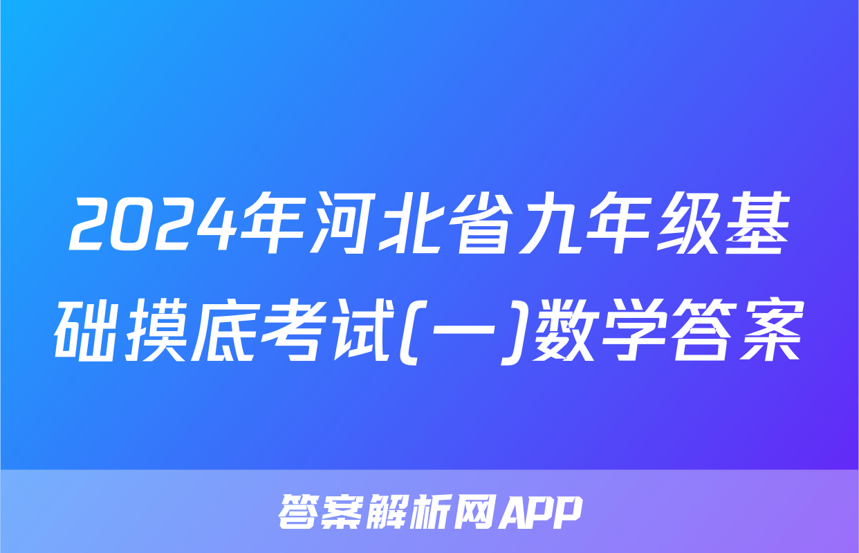 2024年河北省九年级基础摸底考试(一)数学答案