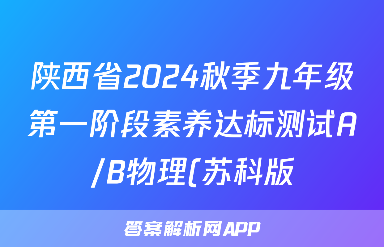 陕西省2024秋季九年级第一阶段素养达标测试A/B物理(苏科版)试题